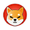 DOGE icon